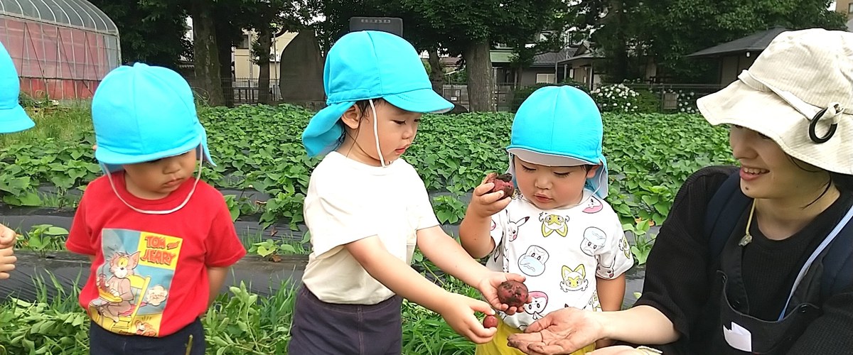 収穫体験を楽しむ子どもたち